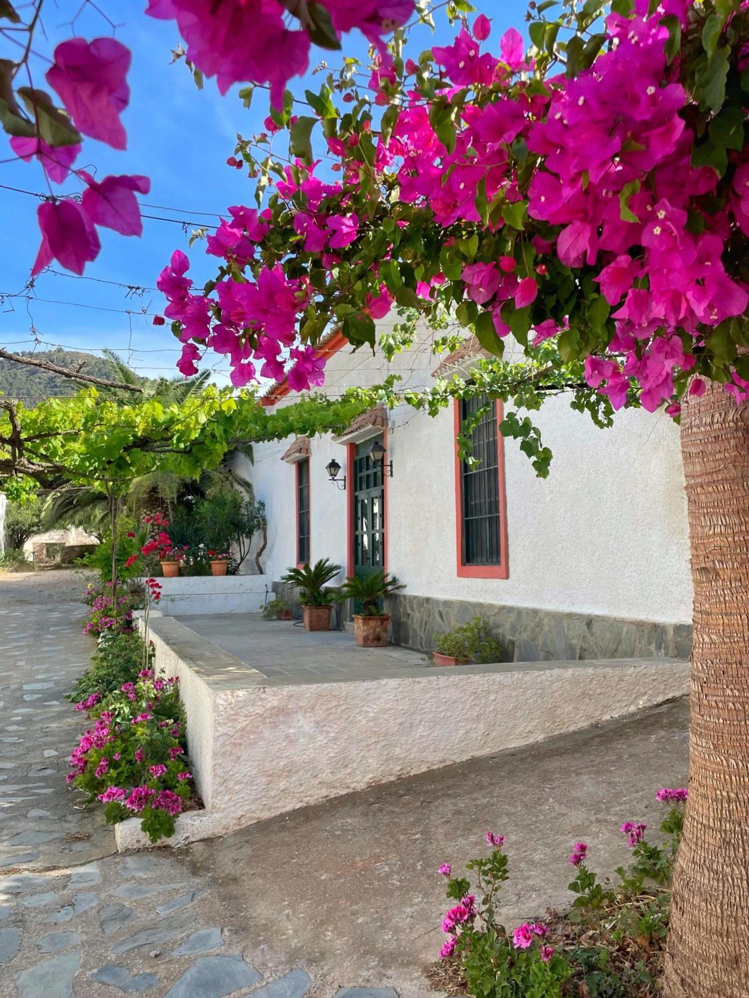Real Fundicion De Alcora Villa Canjayar Exterior photo