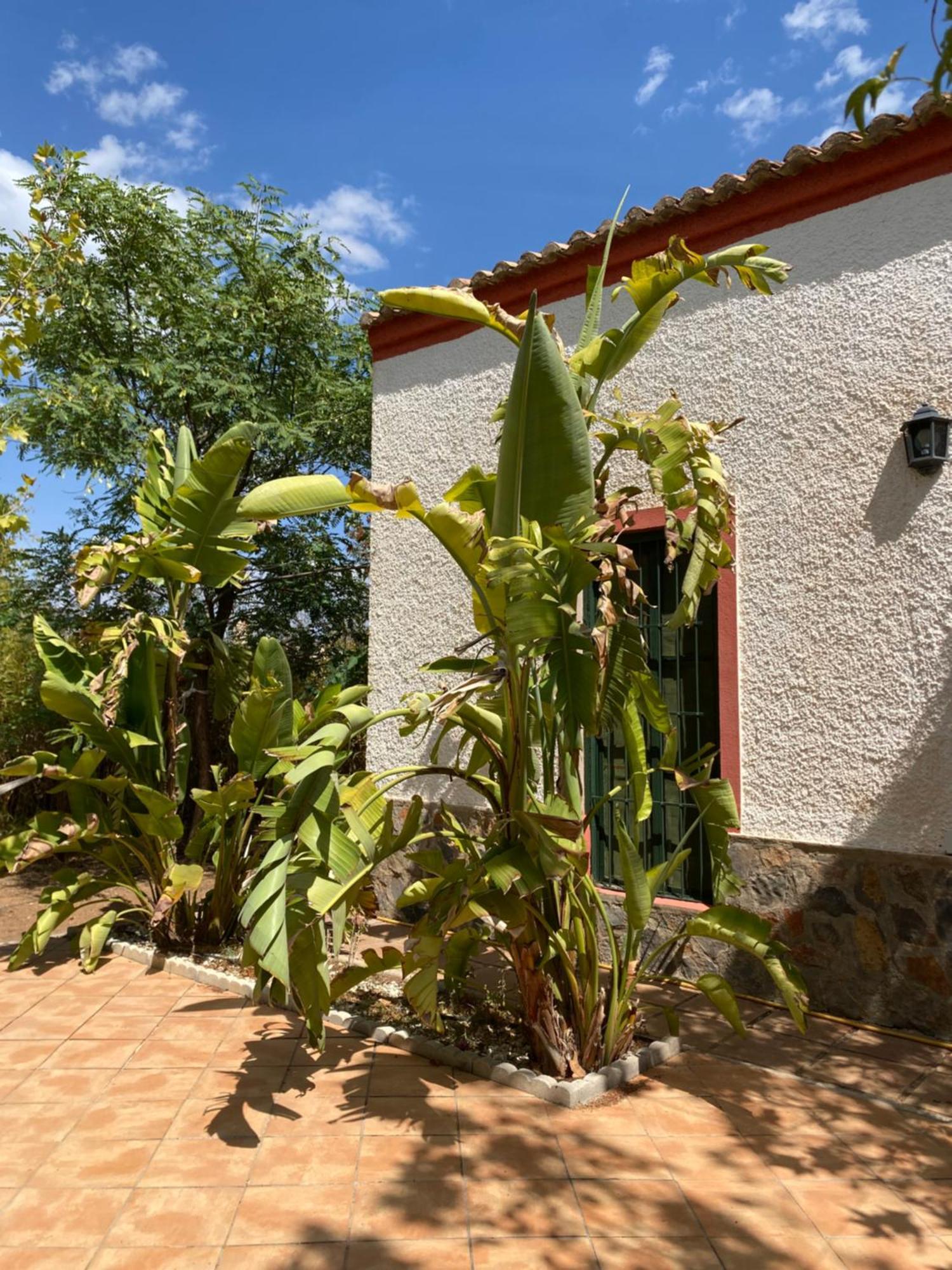 Real Fundicion De Alcora Villa Canjayar Exterior photo